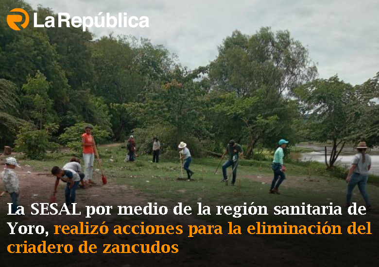 La SESAL por medio de la región sanitaria de Yoro, realizó acciones para la eliminación del criadero de zancudos - Cover Image